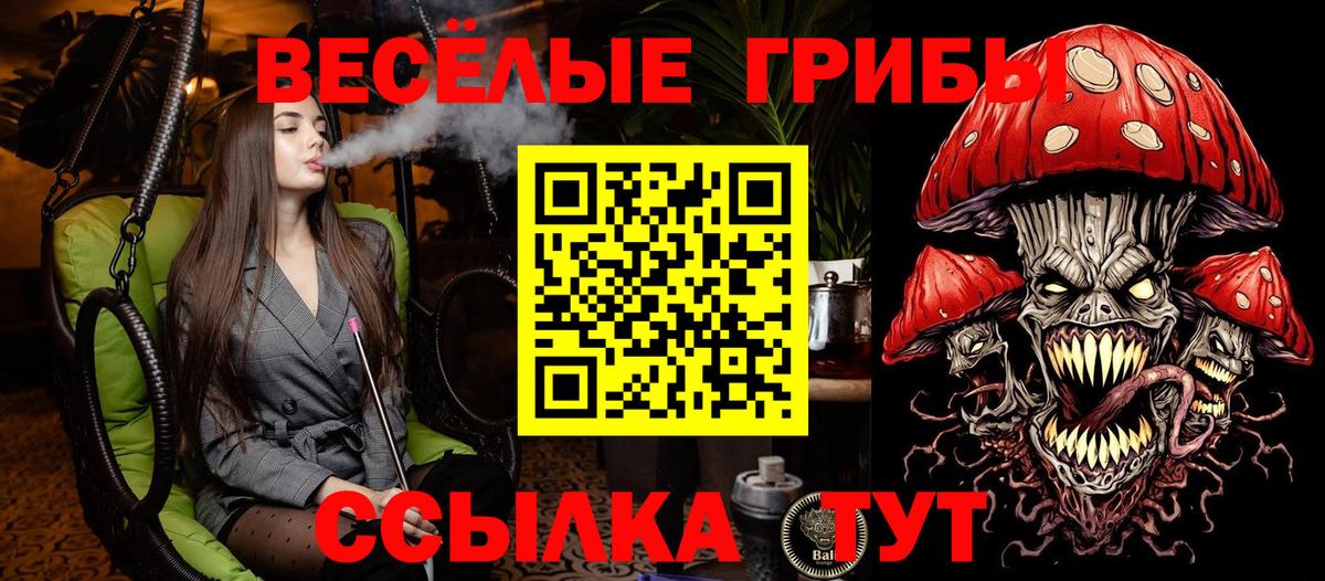 Галлюциногенные грибы мухоморы Лесозаводск